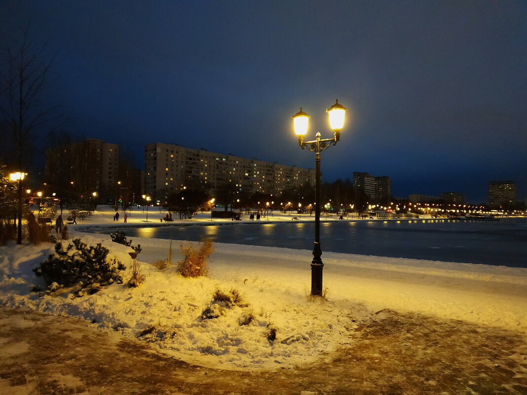 19 ноября в последние 5 лет (2022) - Андрей Лукьянов