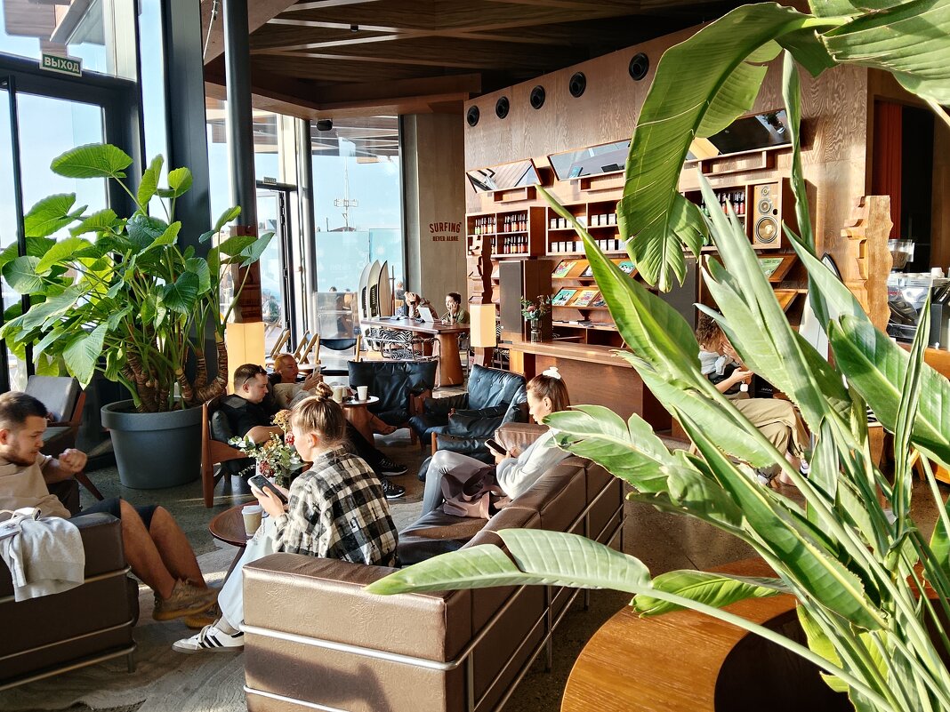 Кафе - Tata Wolf