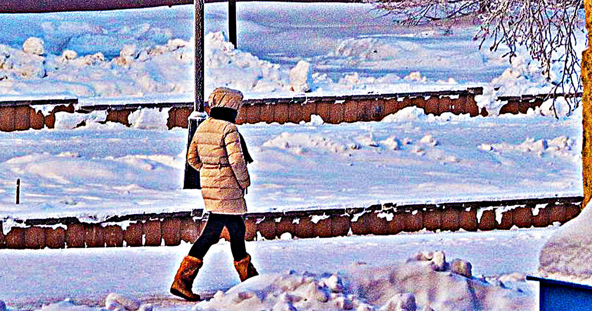 Декабрь...В солнечный денек! - Владимир 