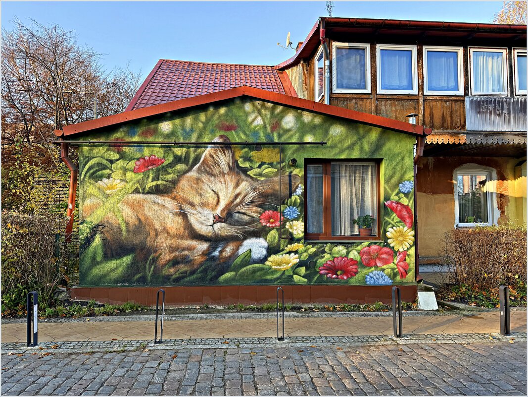 В городе котов и кошек. - Валерия Комова