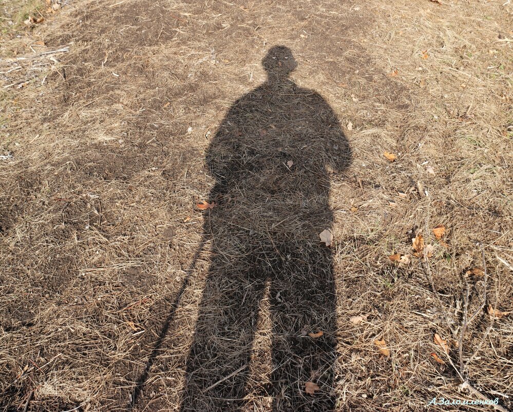 Ты чья тень? :-) - Андрей Заломленков