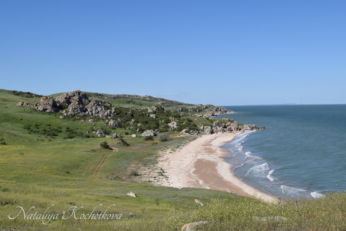 Природа Крыма - Amazing Cosmea Природа Крыма - Amazing Cosmea