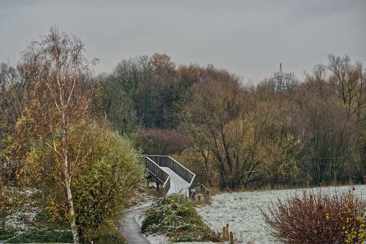 20.11.2025 - Утро, первый снег ... - Jakob Dick