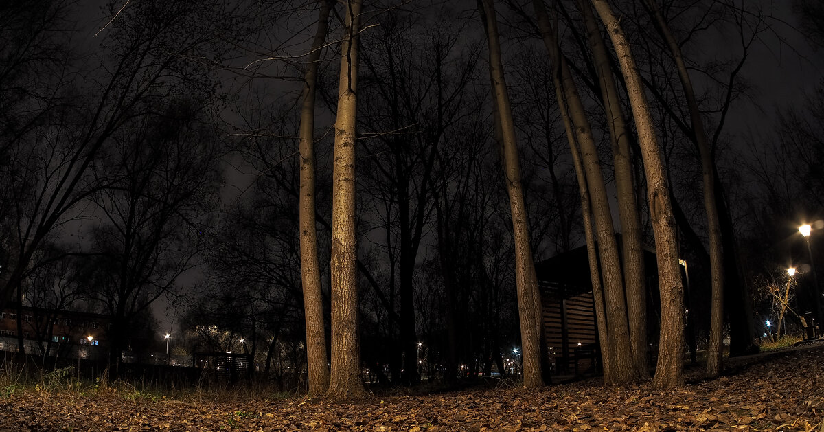 ***** - юрий поляков