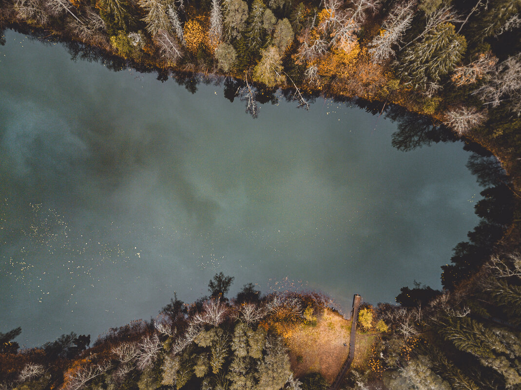 Осень пришла - Irina Bazarova