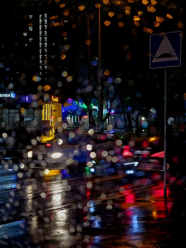 Ярко красочные огни - Мария Яковлева