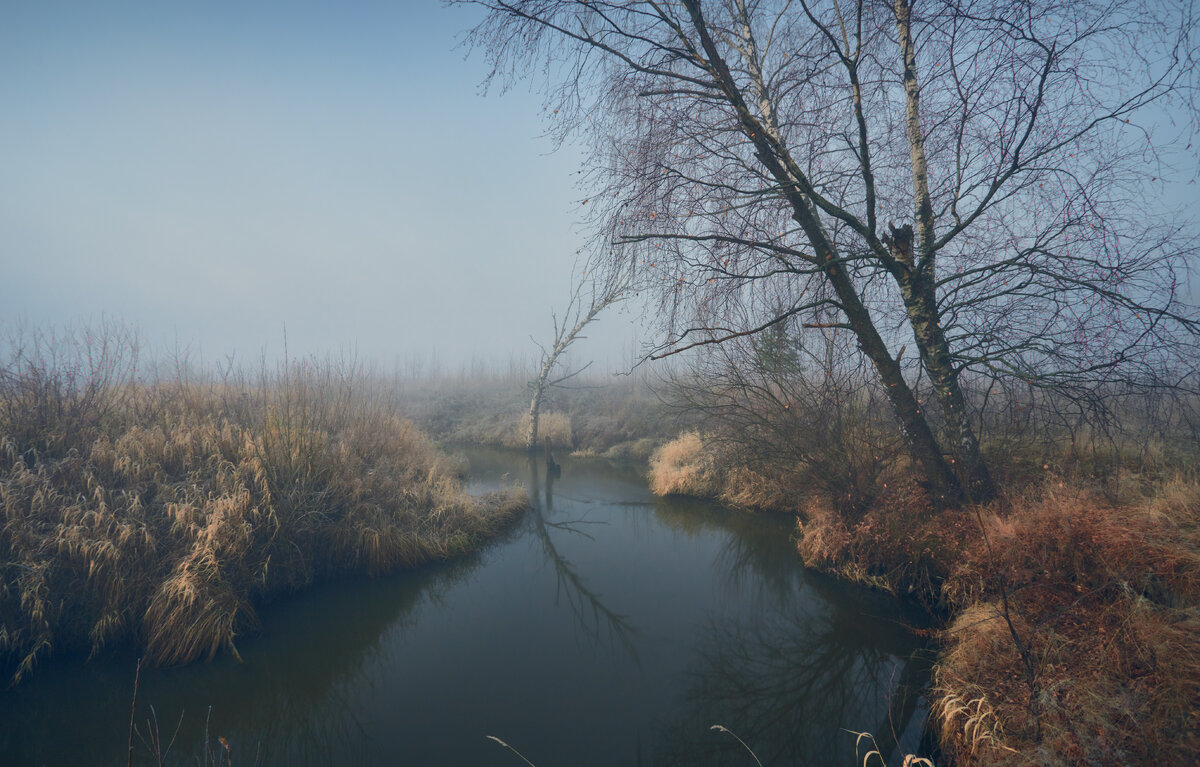 Сказ о тумане синем,да берёзке нестарой ... - Roman Lunin