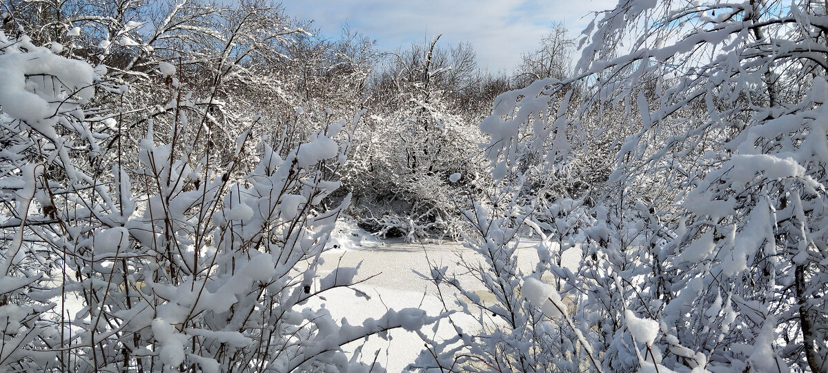 В гостях у сказки!!! - Радмир Арсеньев