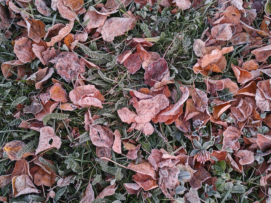 *** - Денис Бочкарёв