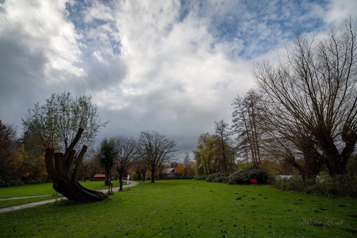 Ноябрьское... - Николай Гирш Ноябрьское... - Николай Гирш