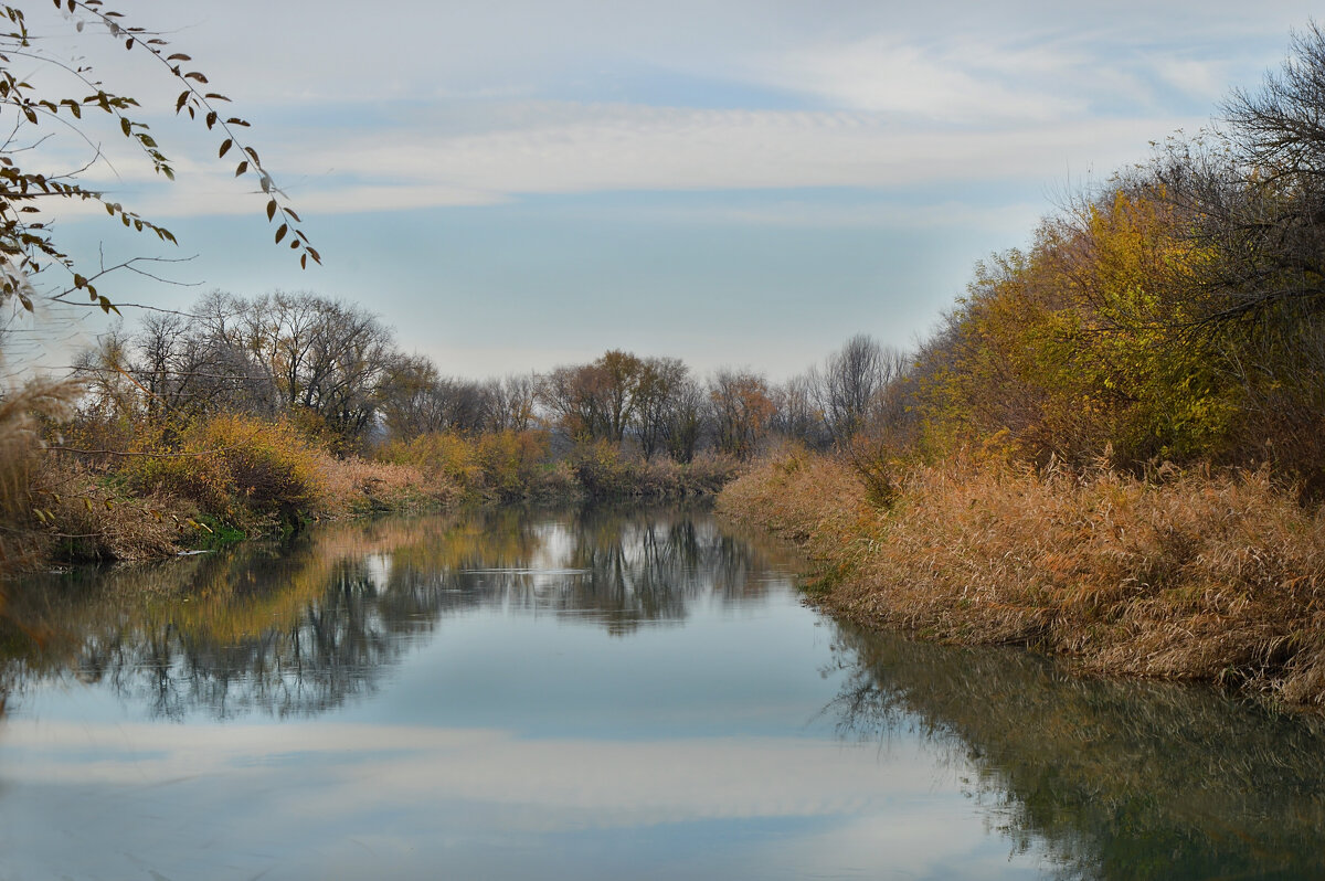 Конец второй декады ноября...Право - Егорлыкский канал.... - Надежда Куркина 