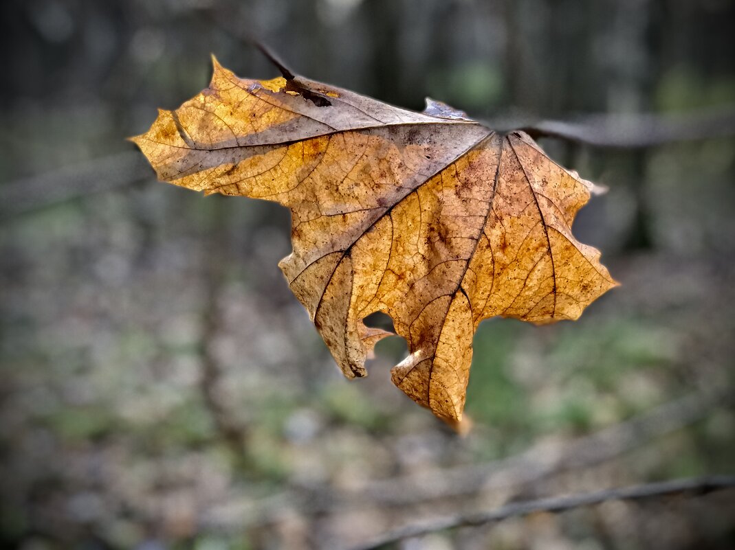 Преклоняюсь перед создателем сего сотворившего! - Любовь 