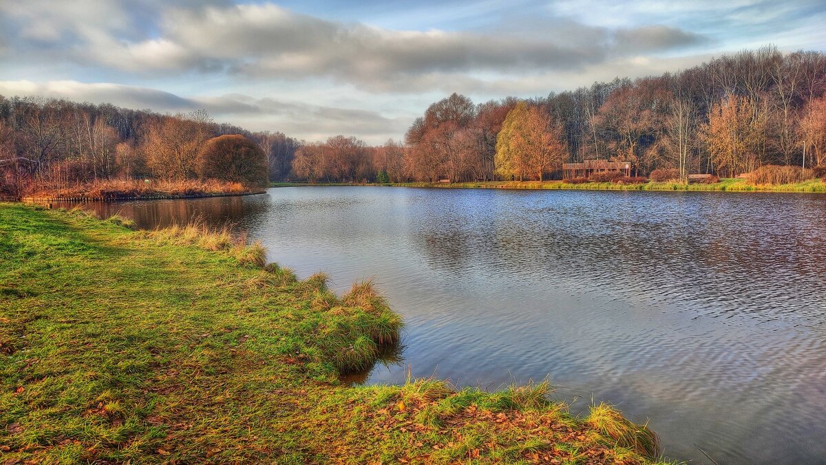 20 ноября - Наталья Лакомова 20 ноября - Наталья Лакомова
