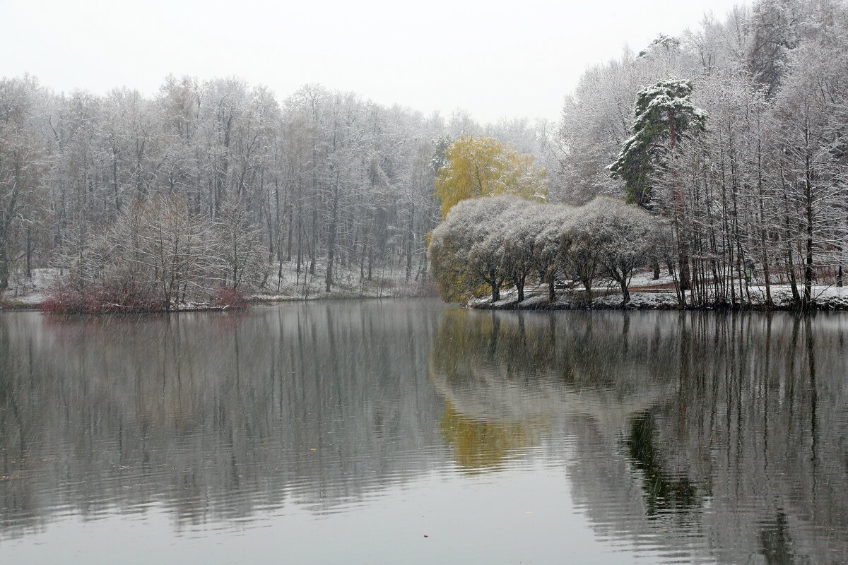 Царицыно утром 15 ноября - Михаил Бибичков