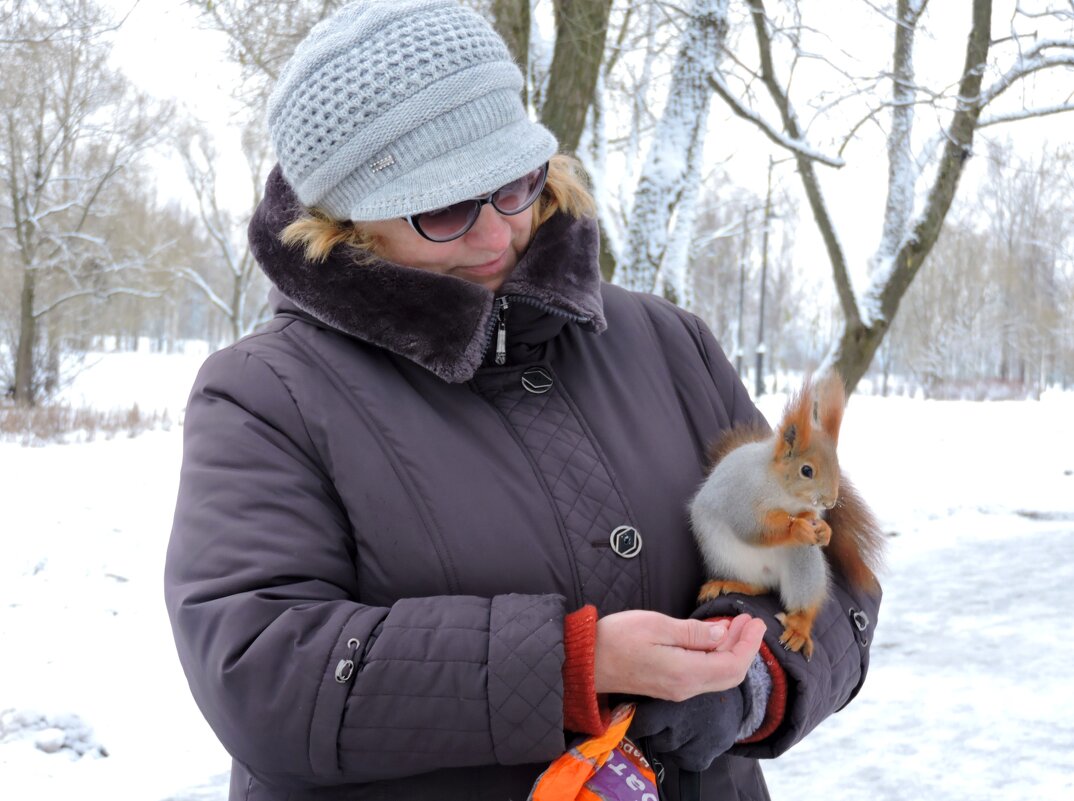 Ох уж эти белки... - Мария Васильева Ох уж эти белки... - Мария Васильева