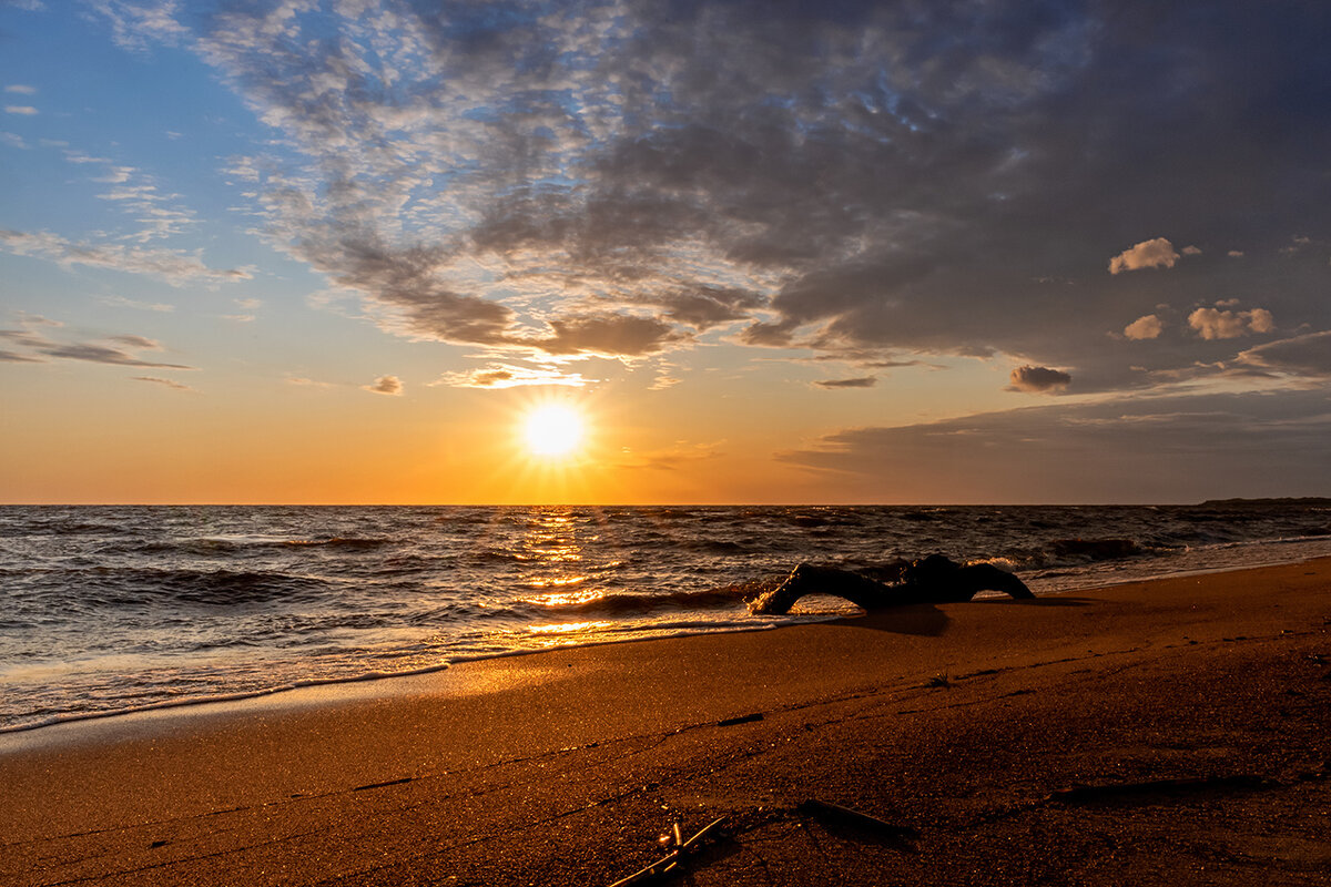 Летний вечер - Виктор Желенговский Летний вечер - Виктор Желенговский