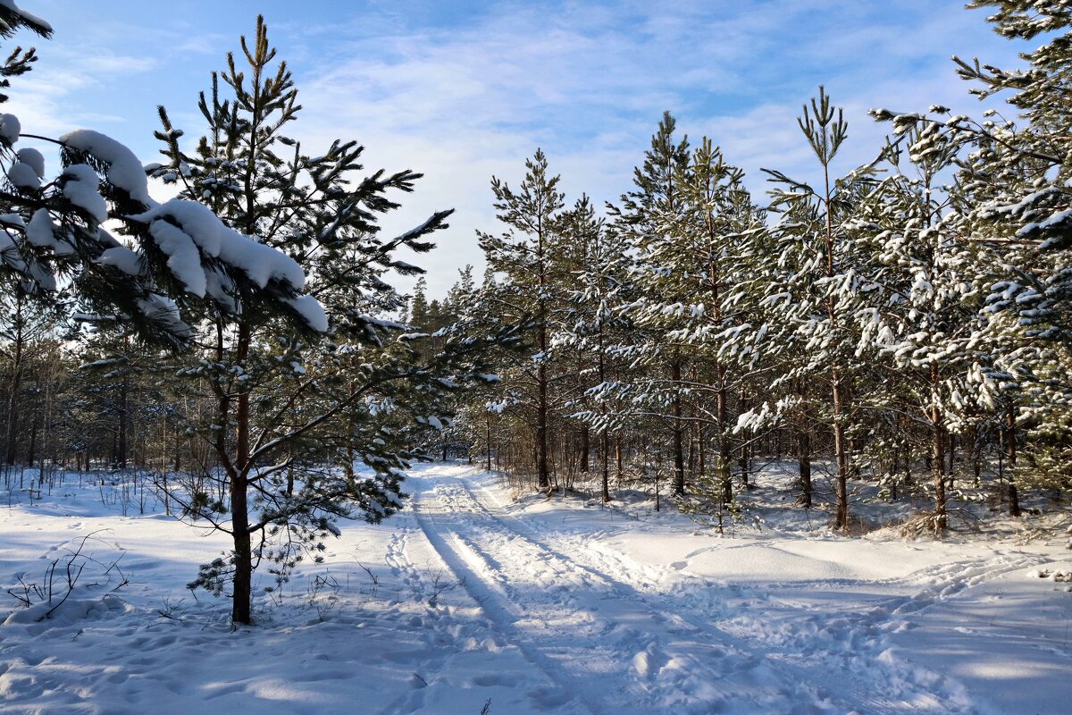 Б/Н - Николай 