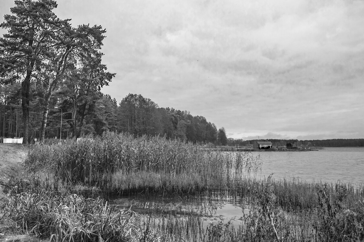 Б/Н - Николай 