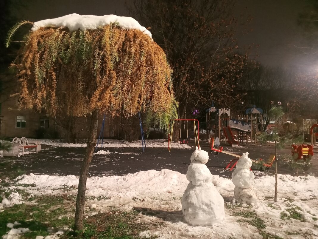 Лиственница - Сапсан 