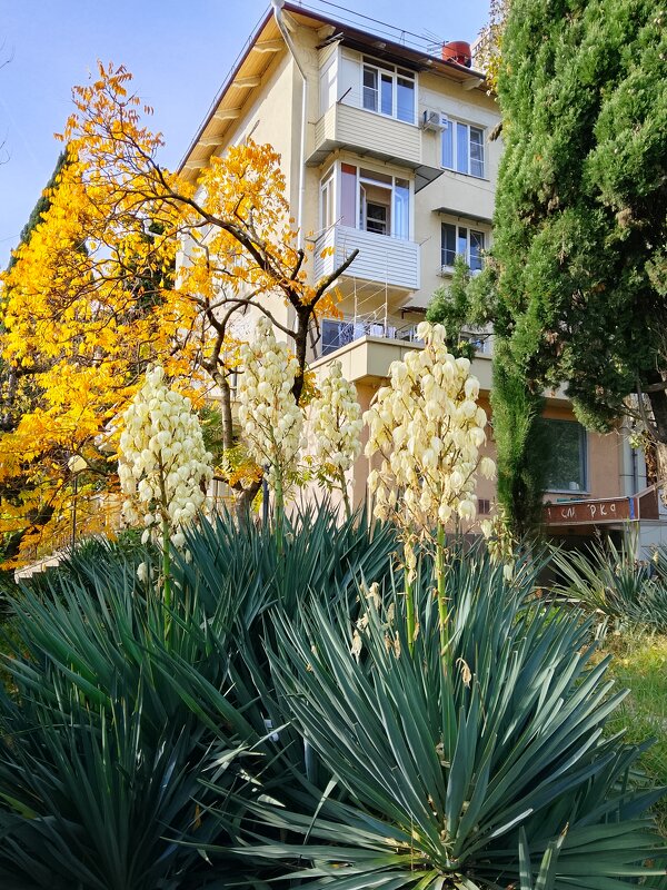 ноябрь - Tata Wolf