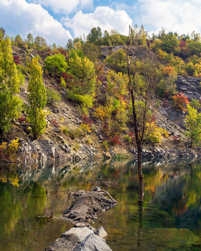 Осення природа - Светлана Ищенко