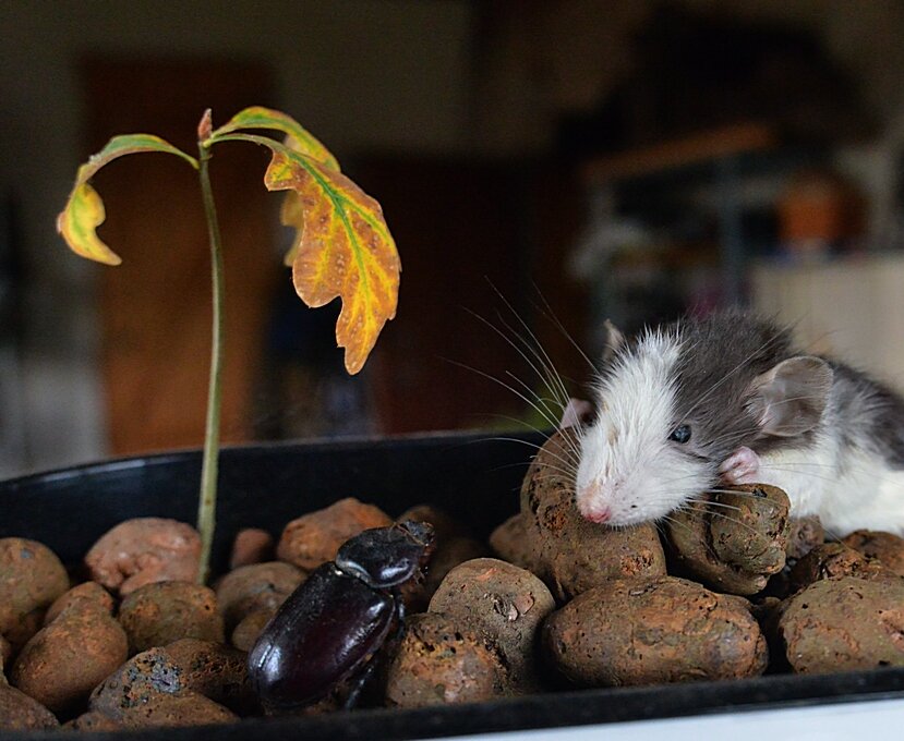 Что то осень затянулась... - Владимир Хиль