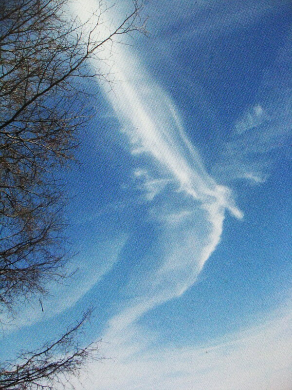"Птичка" летит - Людмила Смородинская "Птичка" летит - Людмила Смородинская