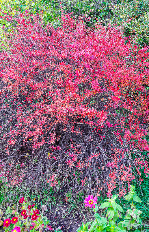 Любование! - Варвара Любование! - Варвара