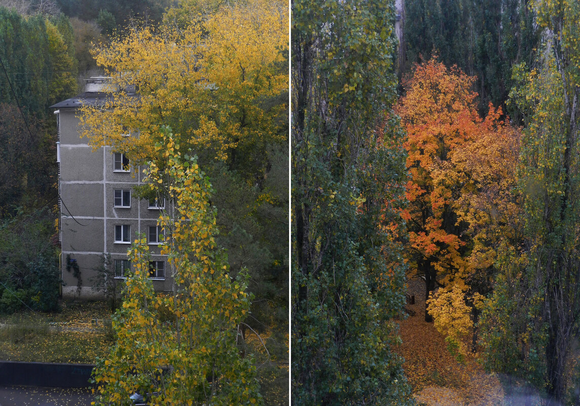 осень за окном - Лера 