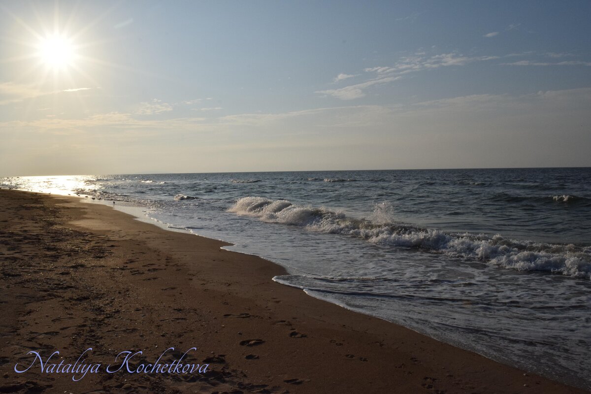 Природа Крыма - Amazing Cosmea Природа Крыма - Amazing Cosmea