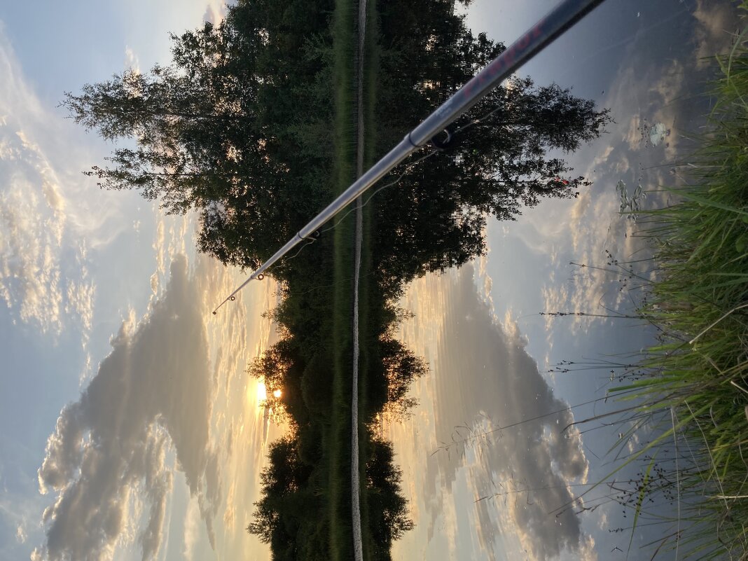 На рыбалке - Ольга Савельева 