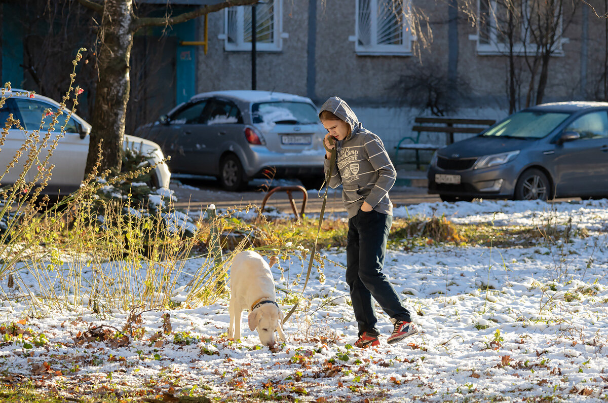 Прогулка с собакой - Александр Синдерёв