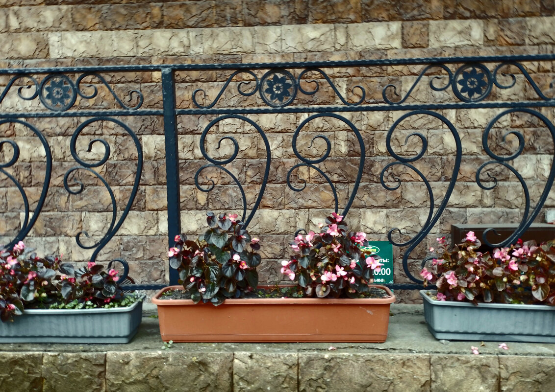 *** - Валентина Береснева