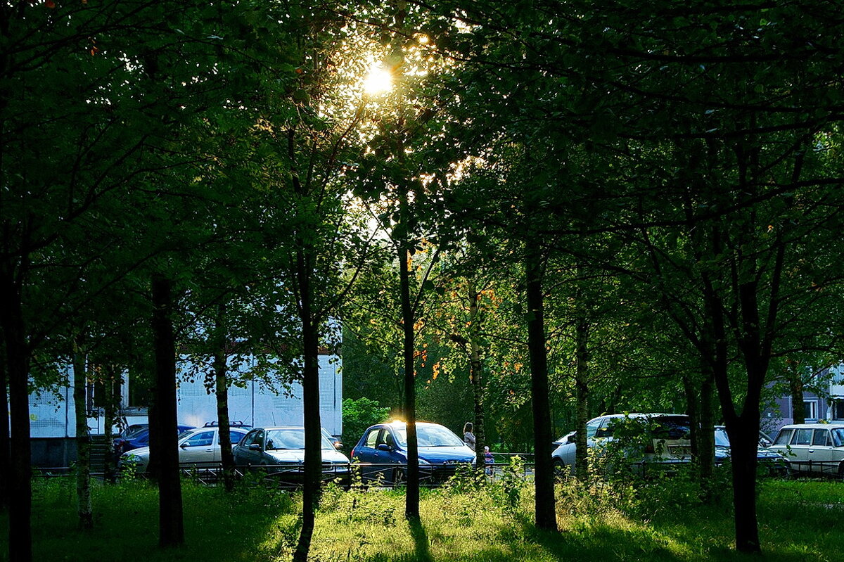 Питерский двор. Начало осени. Солнышко сквозь кроны деревьев - Игорь Тельцов