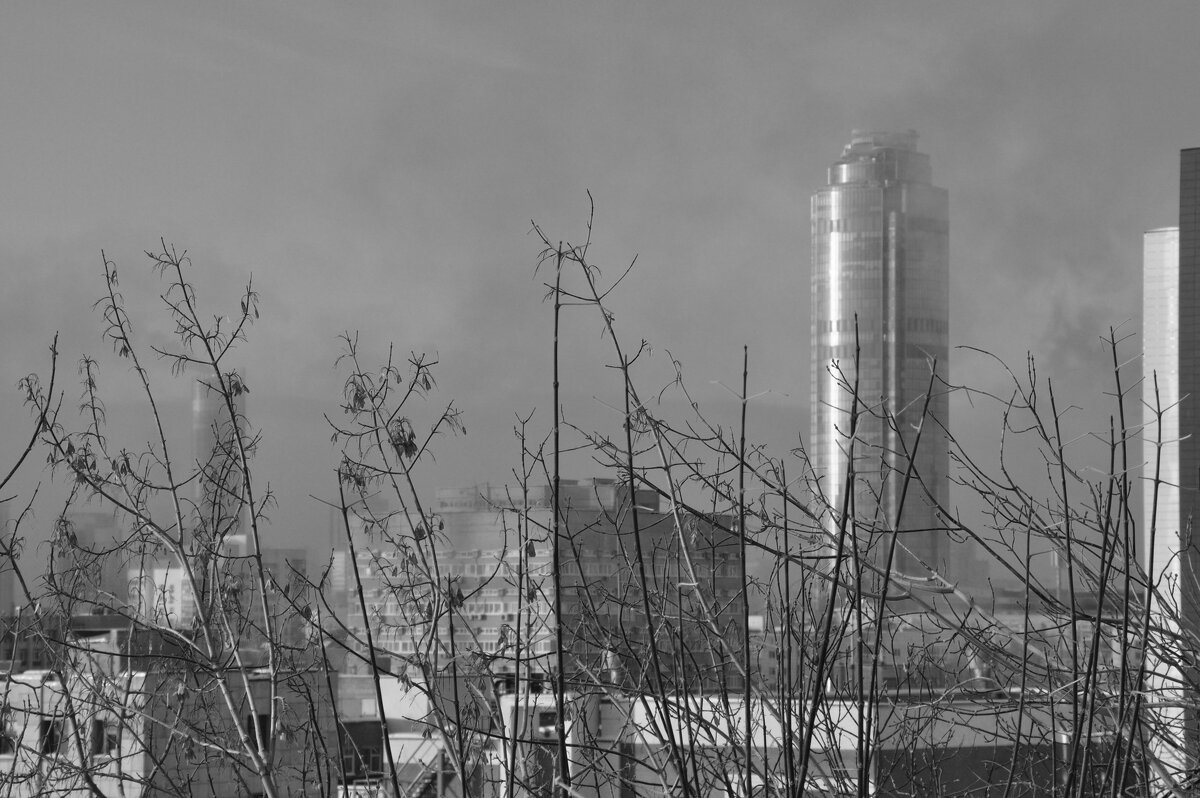 *** - Сергей Сергеев