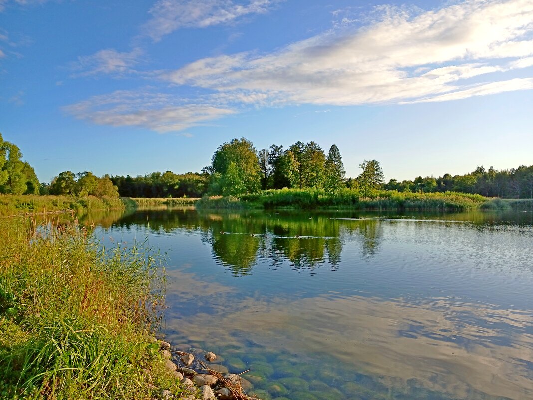 Отражение лета. - Лия ☼