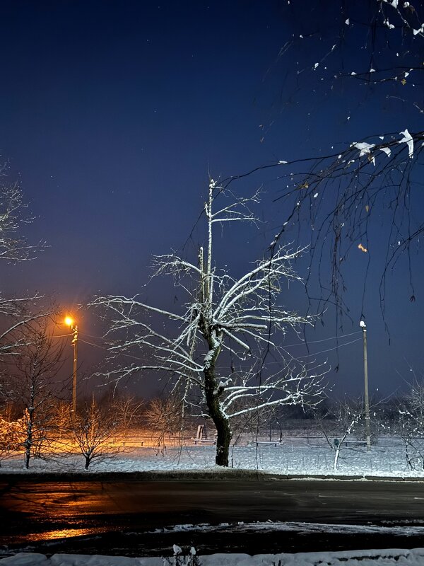 *** - Яна Горбунова