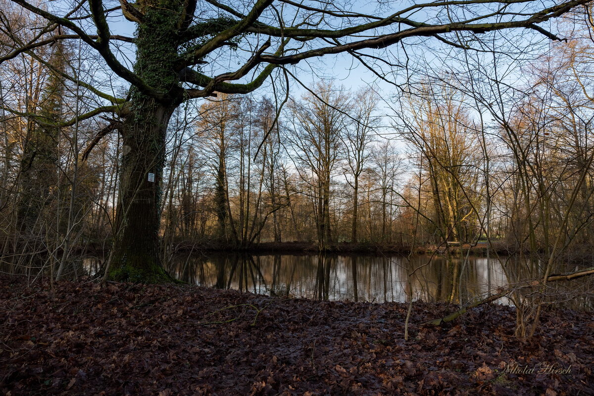 Неприветливый январь... - Николай Гирш