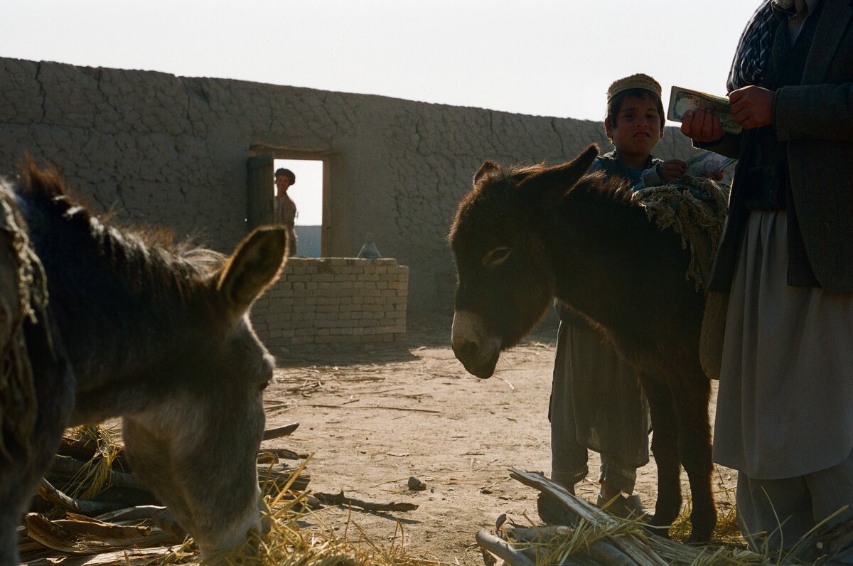 Плата за дрова - Сергей Золотавин
