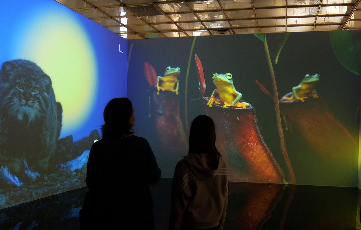 Созерцание. - Люба Созерцание. - Люба