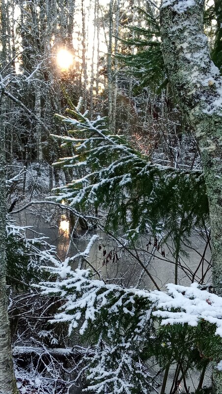 **** - Ольга Попова (popova/j2011)