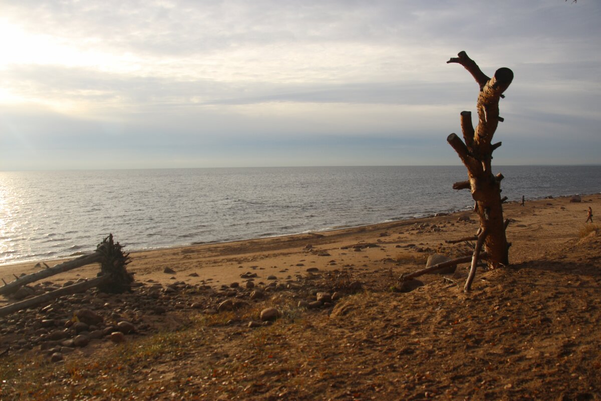 Репино - Наталья Герасимова