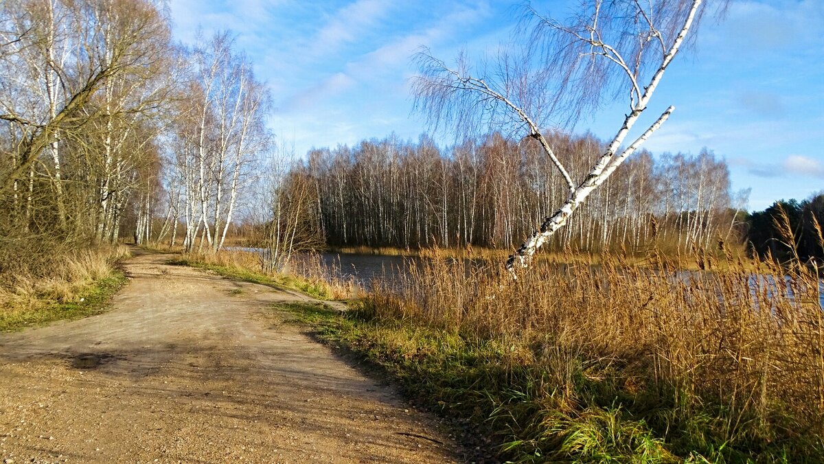 Осенний пейзаж. - Милешкин Владимир Алексеевич 