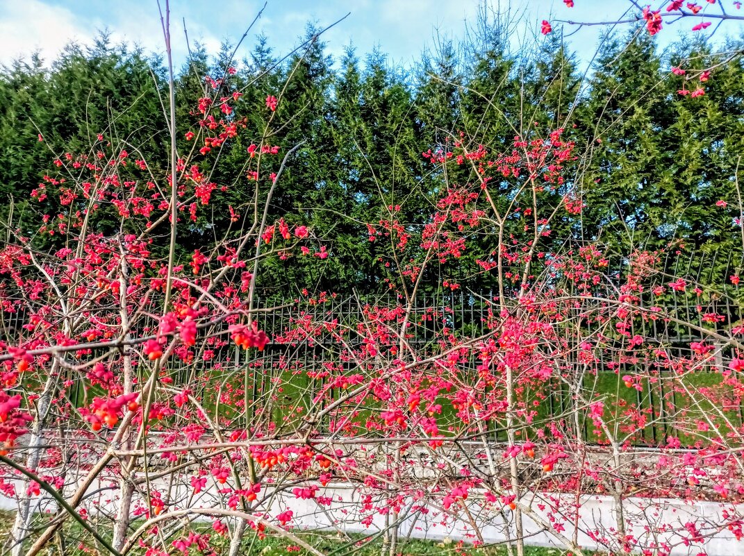 Прогулка по парку Кадриорг - Veera V