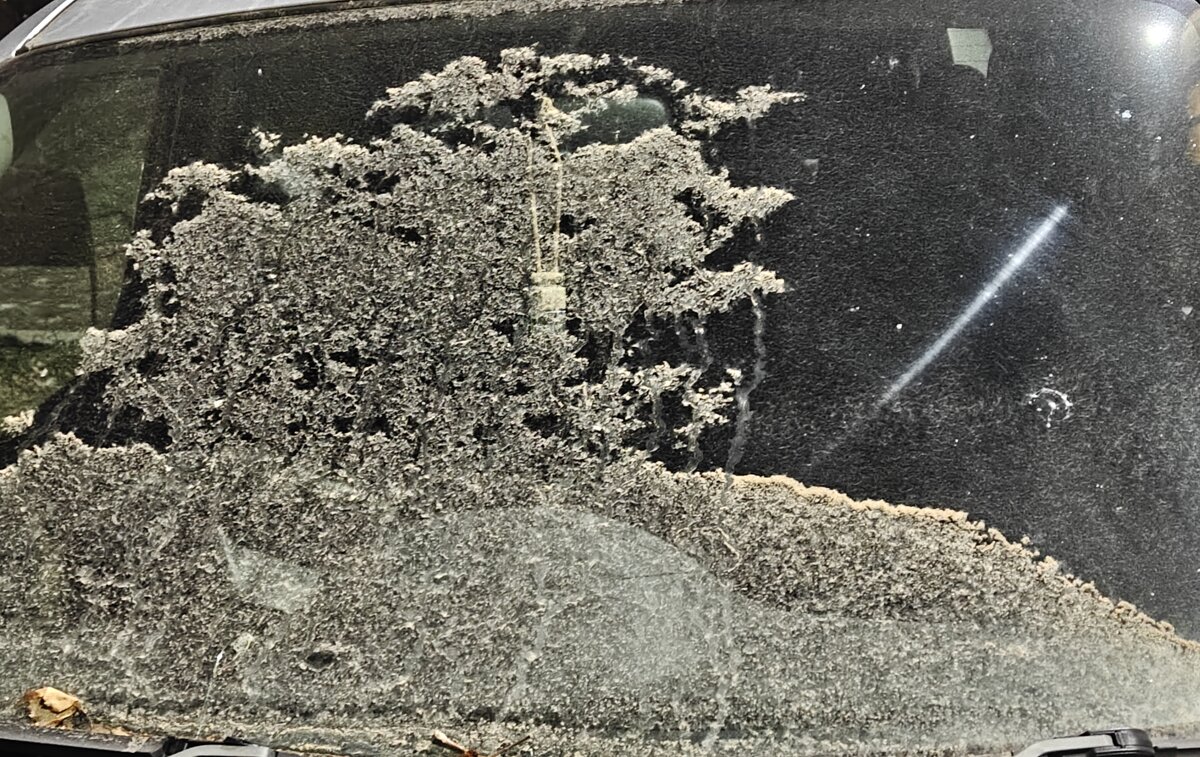 Лунный пейзаж с деревом - Владилен Панченко