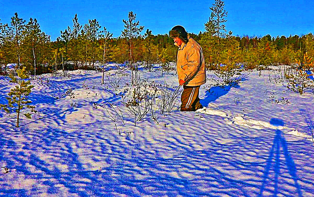 Ноябрь....Оттепель в лесу!. - Владимир Ноябрь....Оттепель в лесу!. - Владимир