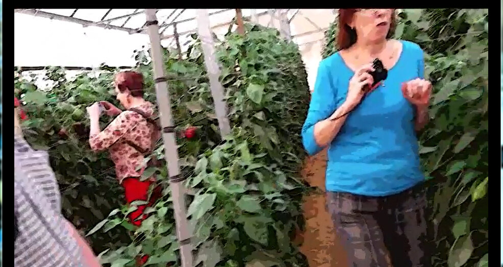 114 (156) - CLOSE WAYS ALL