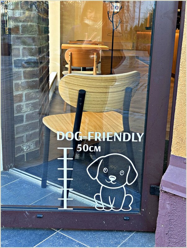 Сюда можно с маленькими собачками. - Валерия Комова