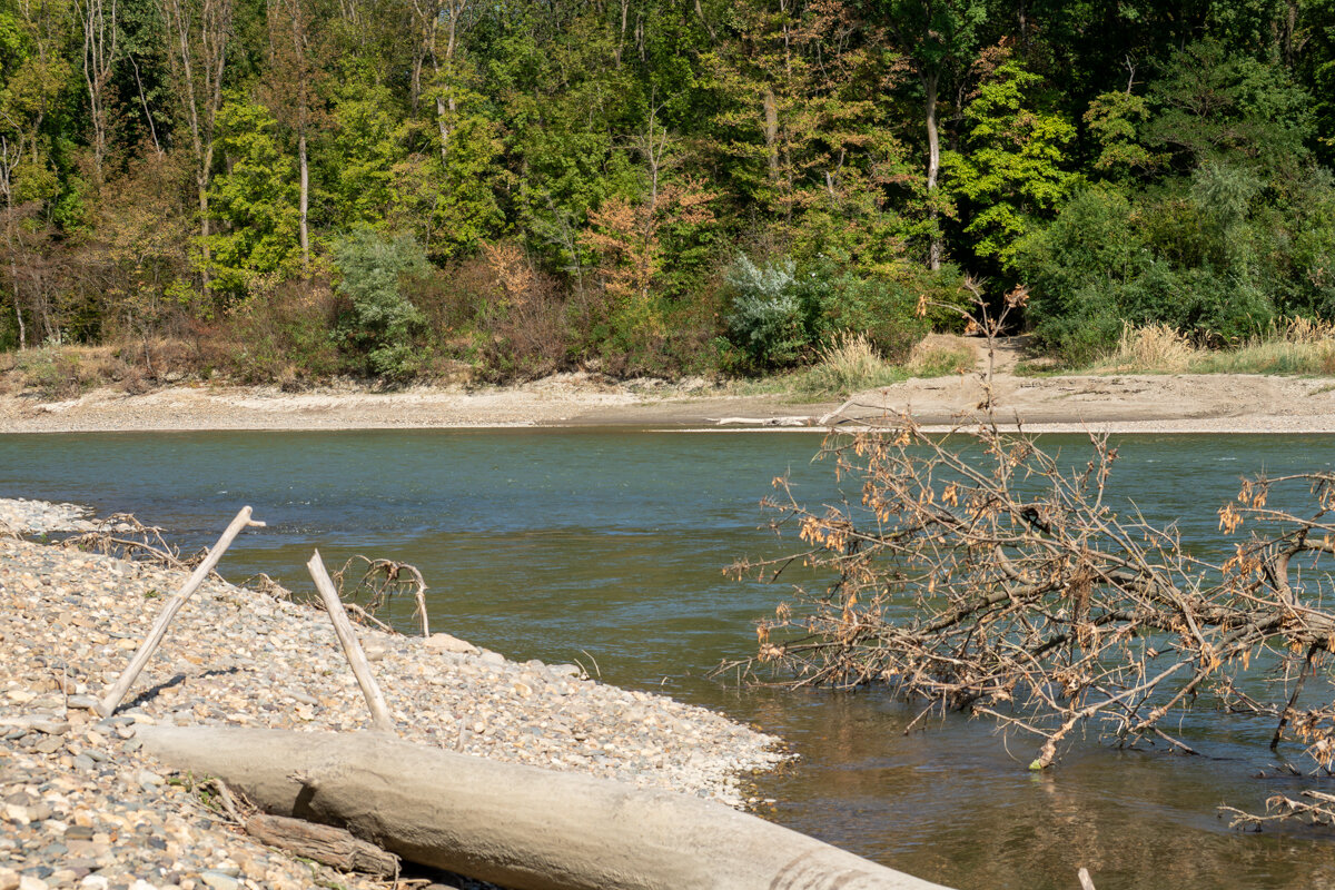 Река Кубань - Игорь Сикорский