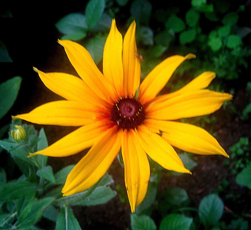 Осенний - Елена Семигина Осенний - Елена Семигина